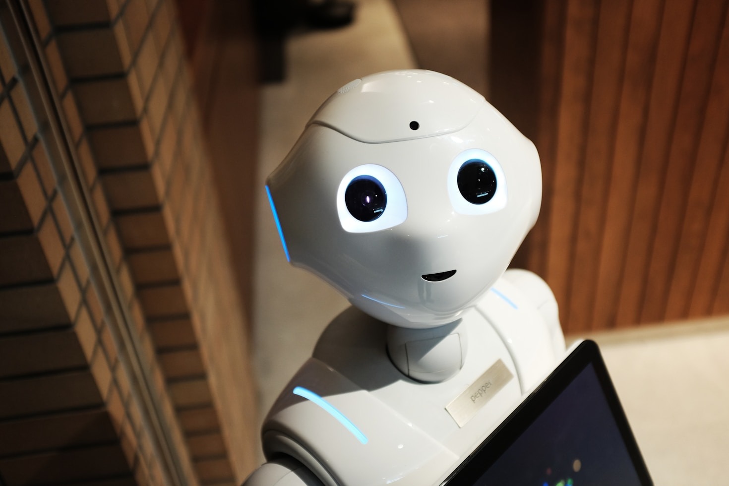 The Ultimate Guide to Learning AI Basics